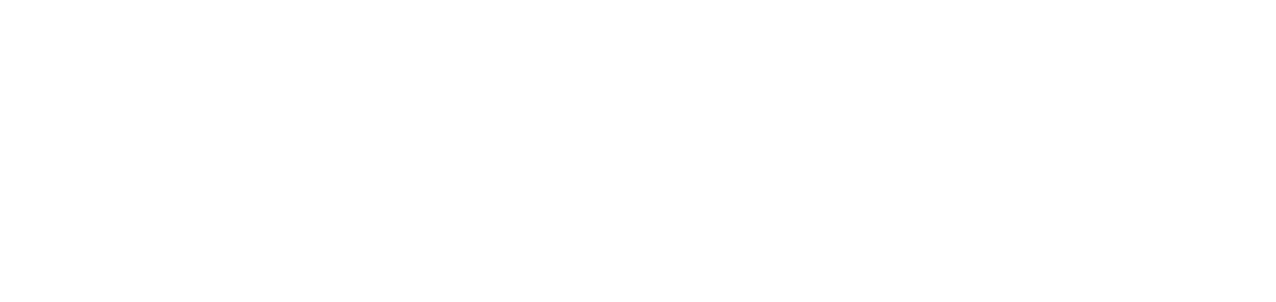 NAVIGO
